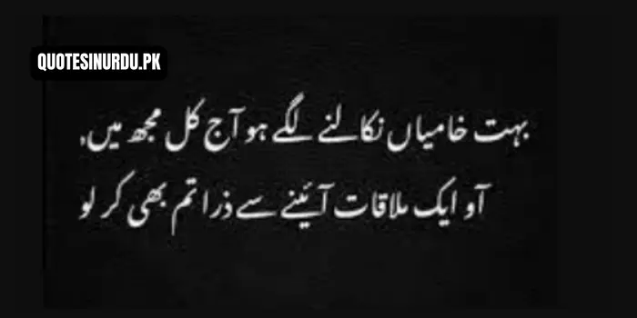 Attitude Quotes in Urdu for Boys