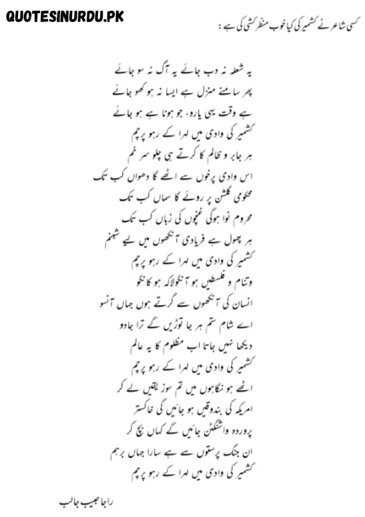 Speech on Kashmir in Urdu