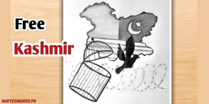 charts about Kashmir day