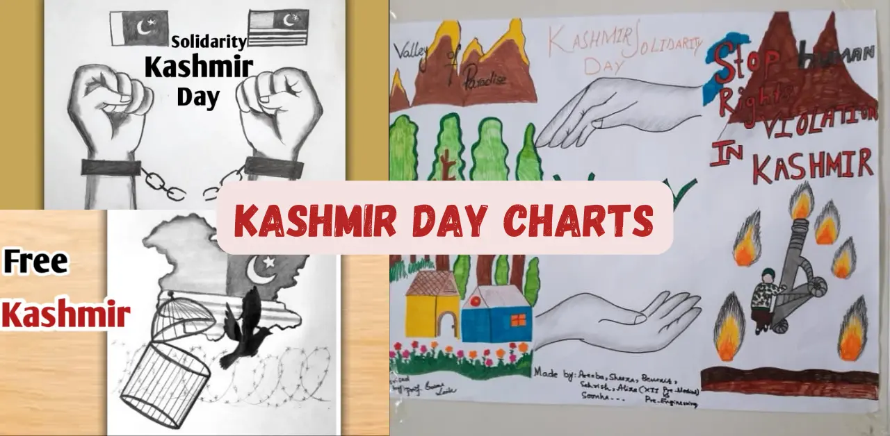 Kashmir Day charts