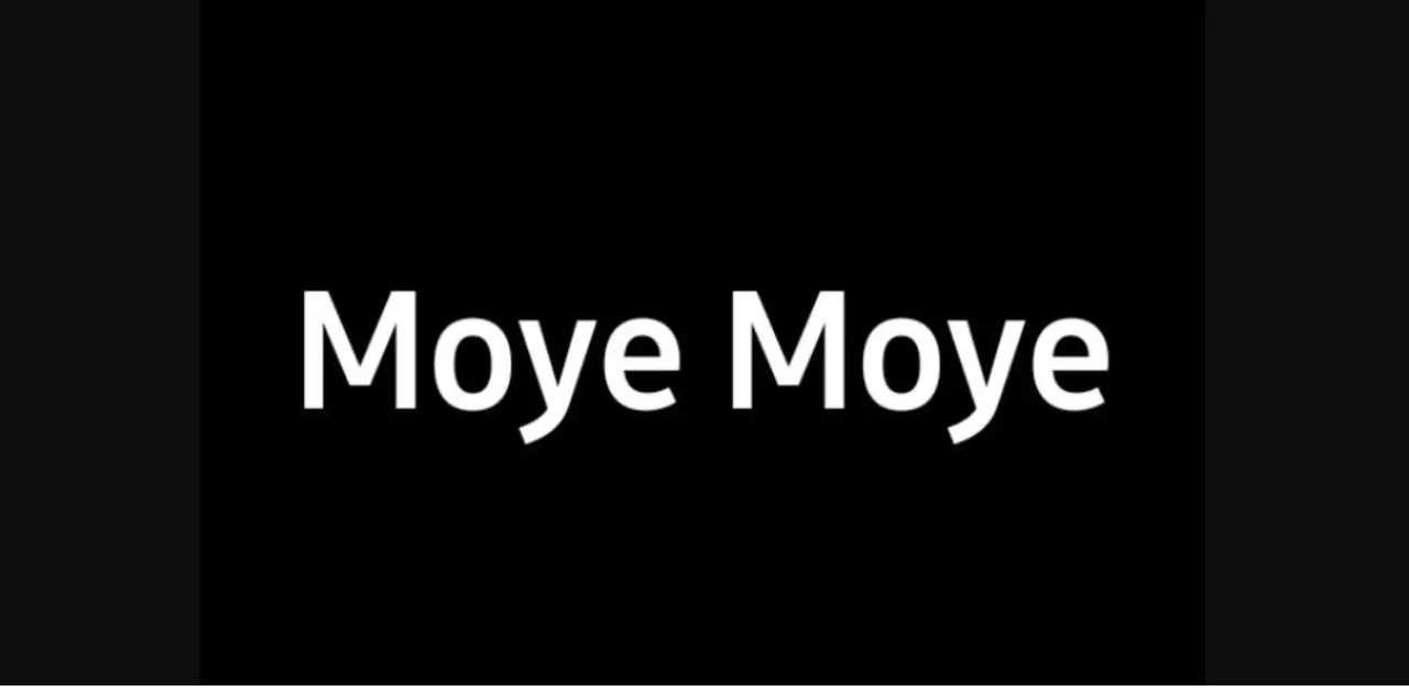 MOYE MOYE meaning