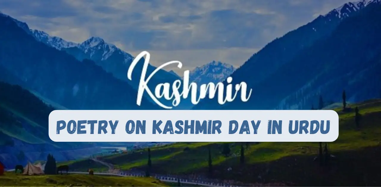 poetry on Kashmir day in Urdu