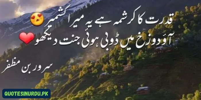 kashmir day poetry 