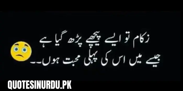 Sardi Funny Quotes in Urdu
