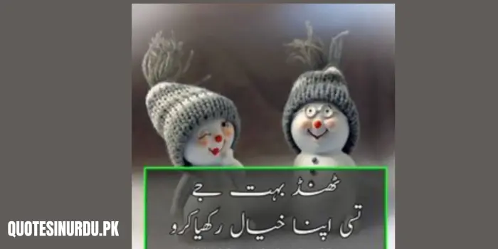 Sardi Winter Funny Quotes in Urdu